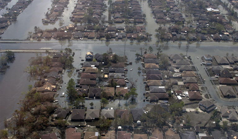 Tuscaloosa Post Disaster Survey