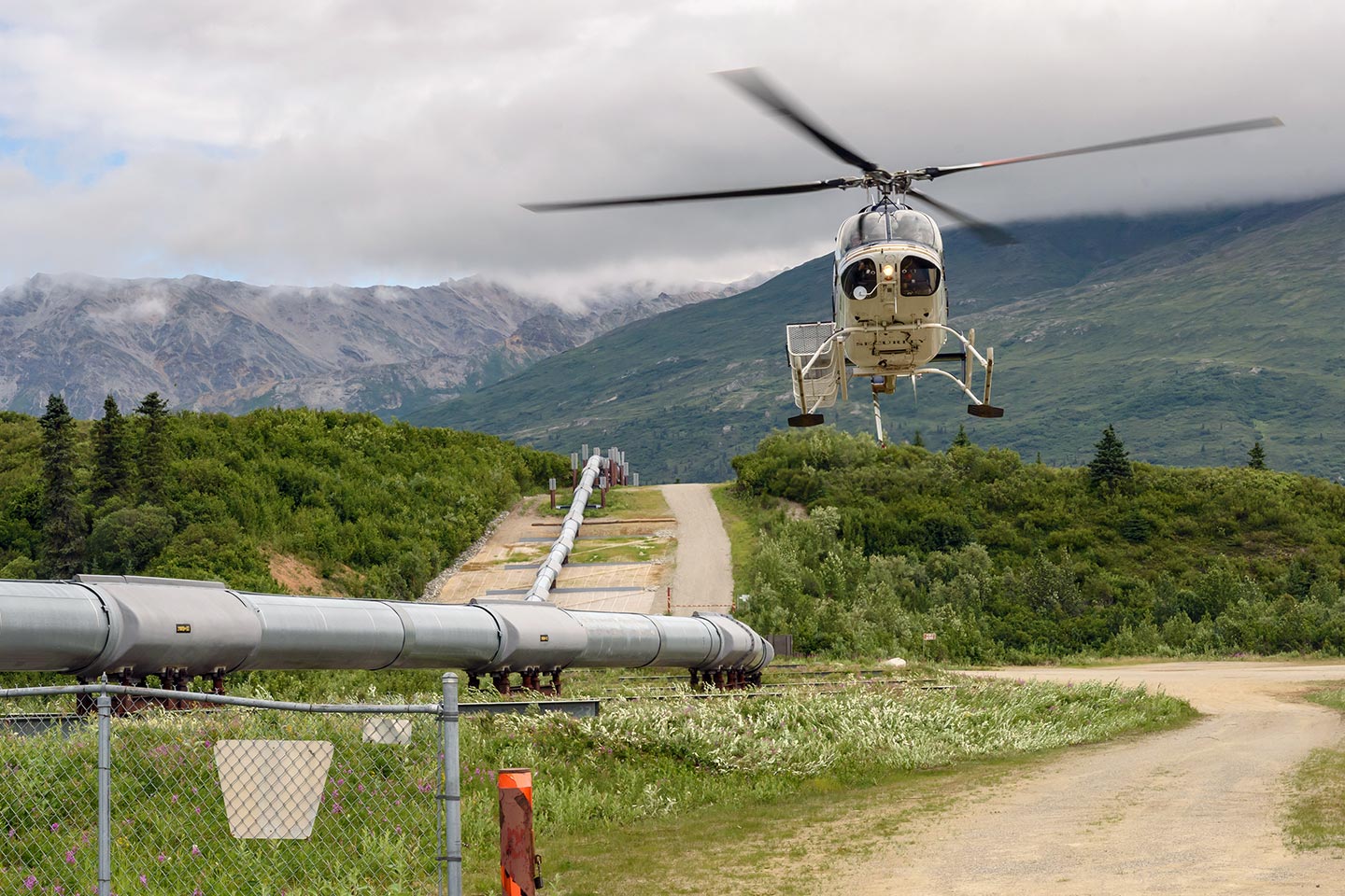 Pipeline Surveys in Alabama